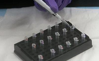 life sciences