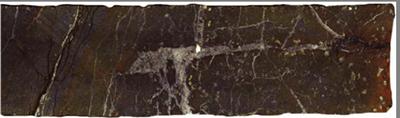 Calcium carbonate veins formed in the ocean crust provide an inorganic record of Cenozoic seawater chemistry. (Source: IODP)