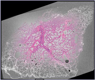 Correlative imaging forum
