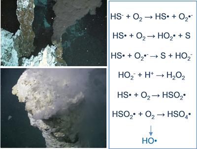 Vent sites and HO radical production reaction