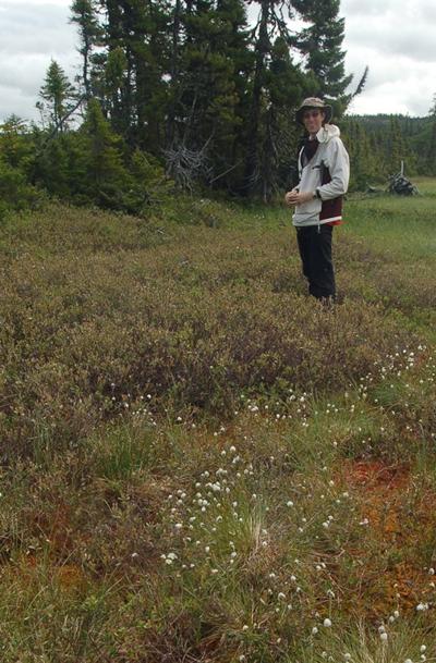 on Burnt Village Bog, NFL