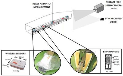 Novel instrumentation set-up