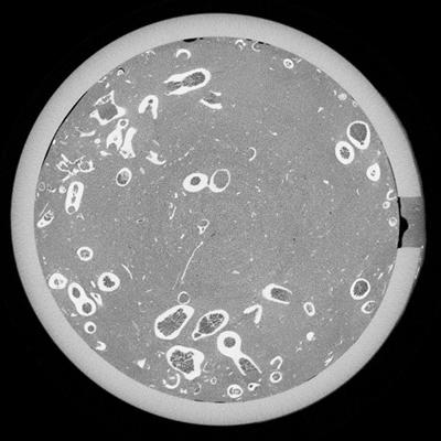 coral core imaging
