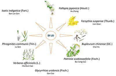 Herbal medicines
