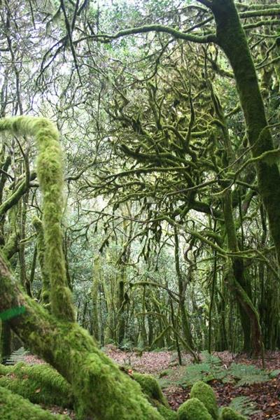 La Gomera