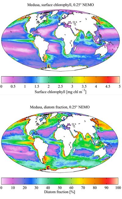 Models configured at NOCS by A. Yool, E. Popova and T. Anderson. Geosci. Model Dev., 4, 381-417, doi:10.5194/gmd-4-381-2011, 2011.