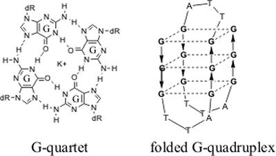 by triple helix formation