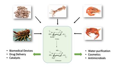 Synthesis and applications of 6-deoxy-6-amino-chitosan 