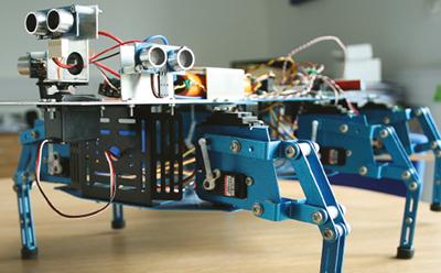 Bio-inpired robots