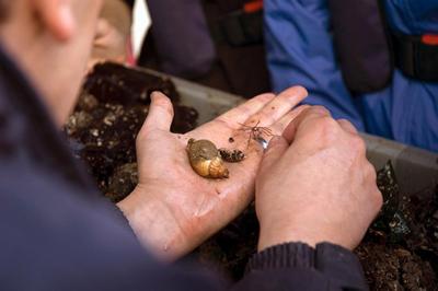 Contribute to teaching while improving your own skills