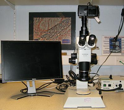 Olympus SZX9 Dissecting Photomicroscope