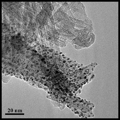 Titanate nanotubes as a material support for catalysts