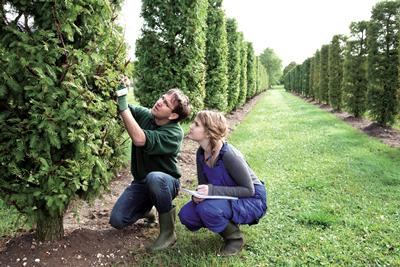 People working together outside