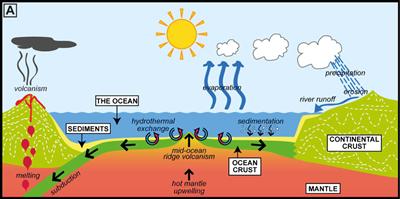 Fig. 1. Processes that affect seawater chemistry, after Coggon (2011)
