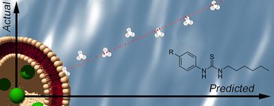 Structure activity relationship studies allow prediction of anion transport properties.