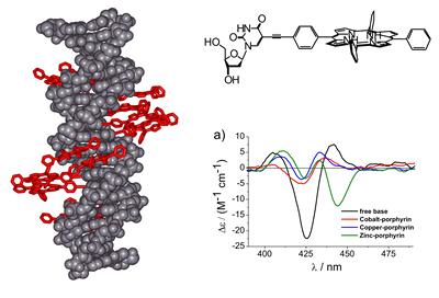 Modelled structure of a porphyrin zipper DNA wire with general nucleoside building block, and CD spectra demonstrating the differences in induced CD signals based on different metalation states.