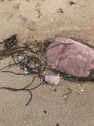 Microplastics