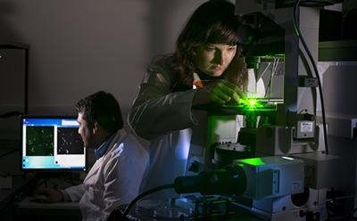 Whatever your passion, we have a postgraduate course for you at a reduced rate.