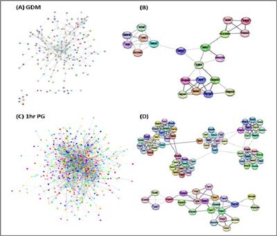 Influence of maternal dysglycemia on the infant’s methylome