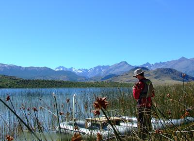 Palaeoecology research