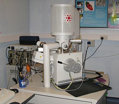 FEI Quanta 250 SEM