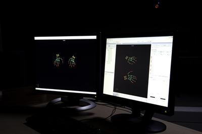HAWK: Hand and Wrist Kinematics