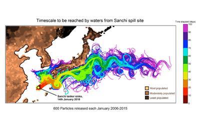 Trajectories of all virtual oil particles