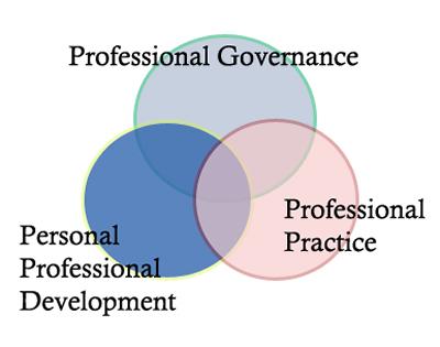 The main aspects of professionalism