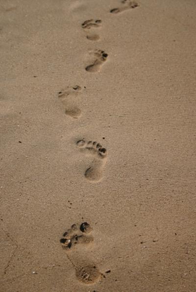 ... on the right track to your chosen career