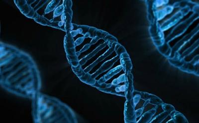 DNA helices