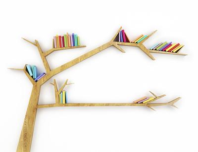 Lifelong Learning