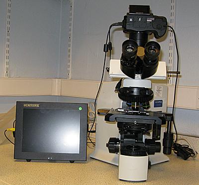 Olympus BX51 Photomicroscope