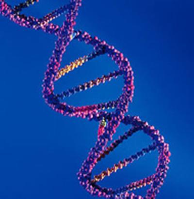 DNA