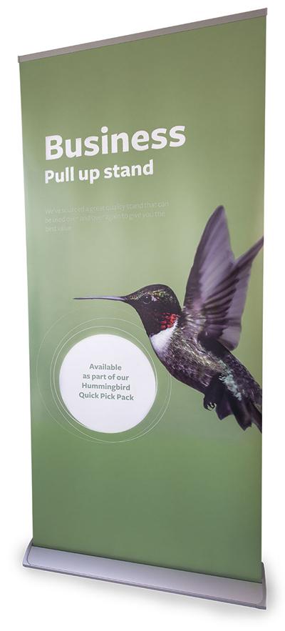 Business style pull up stand