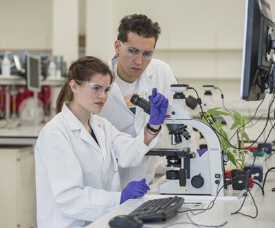 Undergraduate teaching laboratory