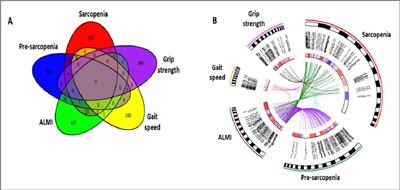 Changes in DNA methylation associated with muscle ageing and sarcopenia