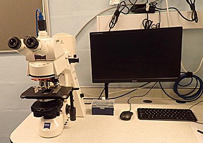 Zeiss Axioskop2 MOT fluorescence microscope