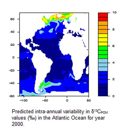 Intra-annual variability