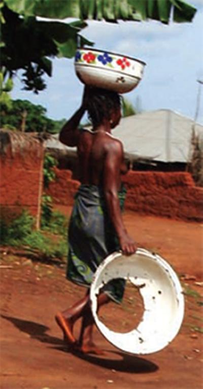 The report outlines the world’s land and water resources