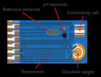 Example of thick film sensor array for water quality monitoring