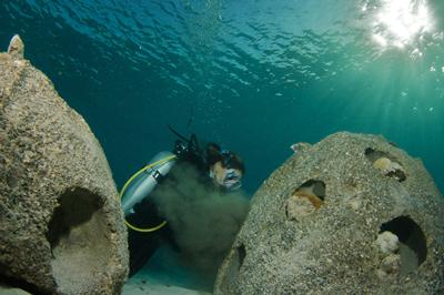 Lucy working on an artificial reef