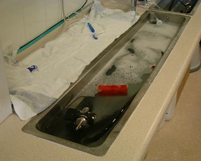 Endoscope cleaning