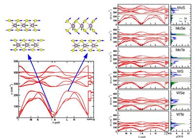 Phonon Band Structure of Selected TMDS