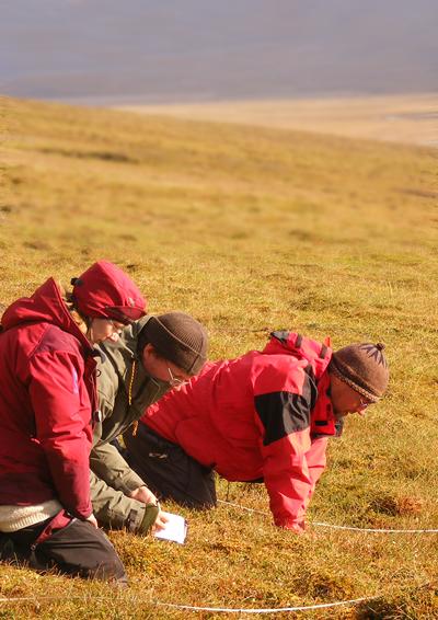 Taking soil samples