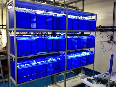 Tanks can be isolated from the main system to give greater control over research parameters