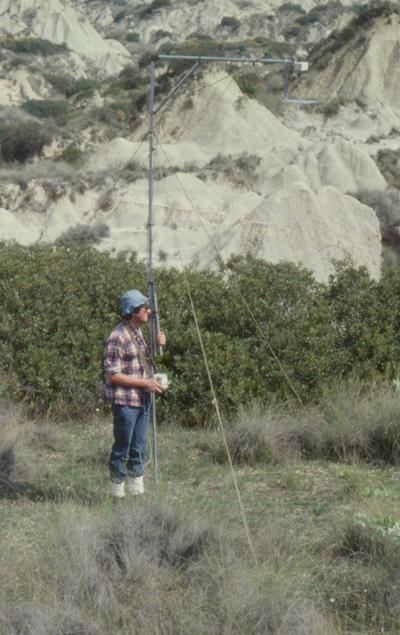 Measuring shrub reflectance with the MMR