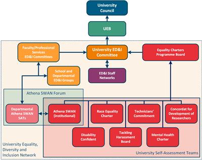 Diagram showing equality, diversity and inclusion groups and where they report