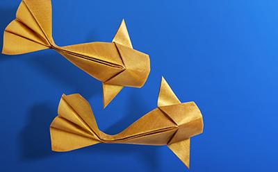 Folding