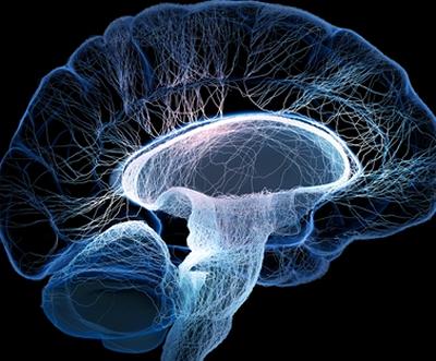 Discover Neuroscience