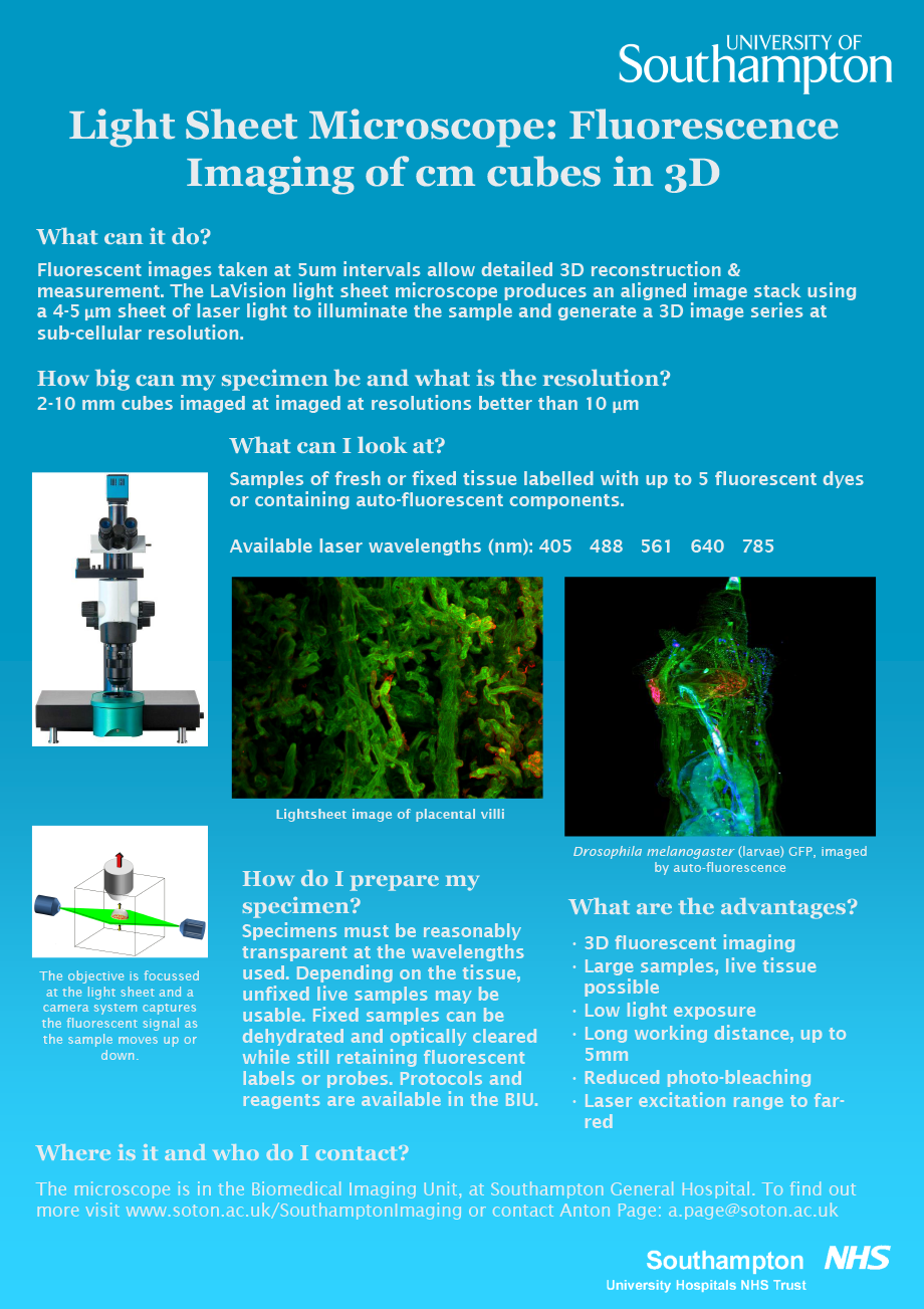 Lightsheet - how it works